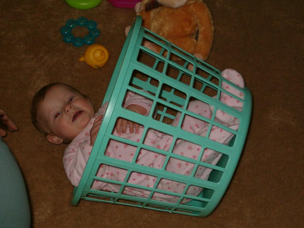Callie plays with a laundry basket