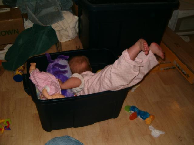 Callie learns that overbalancing her center of gravity causes her to fall face-first into the toybox.