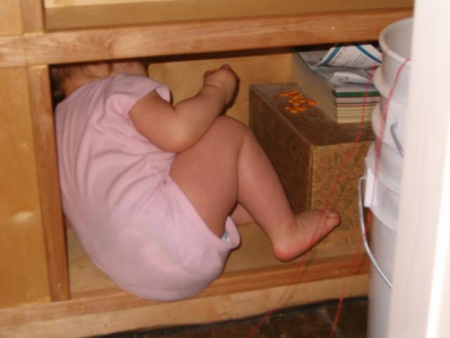 Callie crawls into the shelf