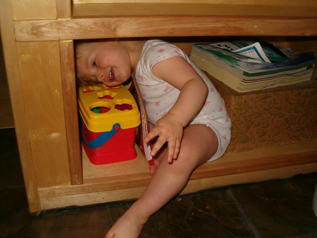 Callie hides in her favorite shelf/cubbyhole