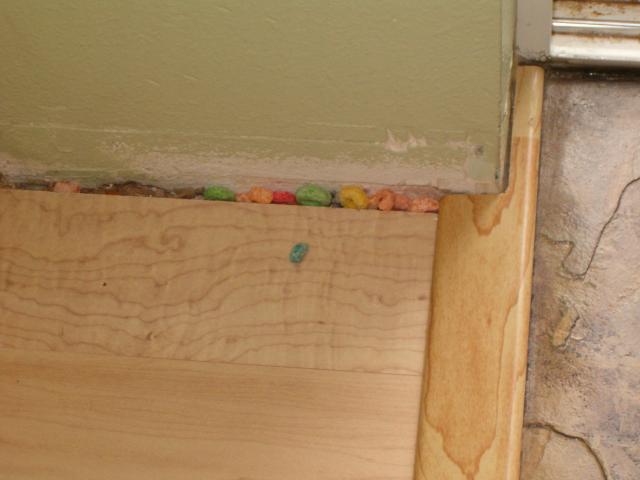 Callie lined up her cereal in the crack by the wall...