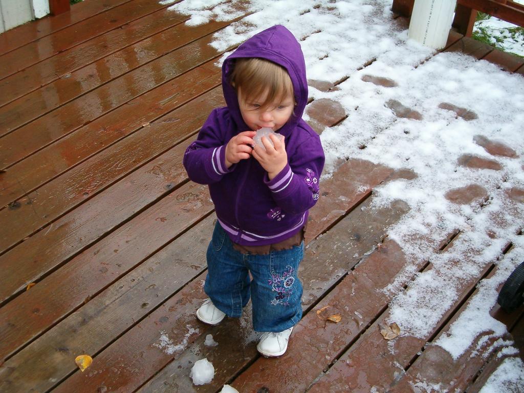 Callie plays in the snow on the deck