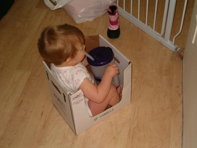 Callie drinks water in her box.  Water, diaper, what more could you ask for in a box?