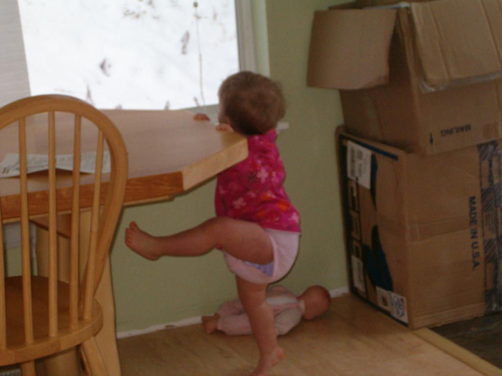 Callie attemps to climb onto the table without a chair
